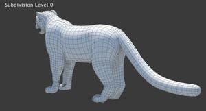 Snow Leopard 3D Model Wireframe View Subdivision 0 Thumbnail
