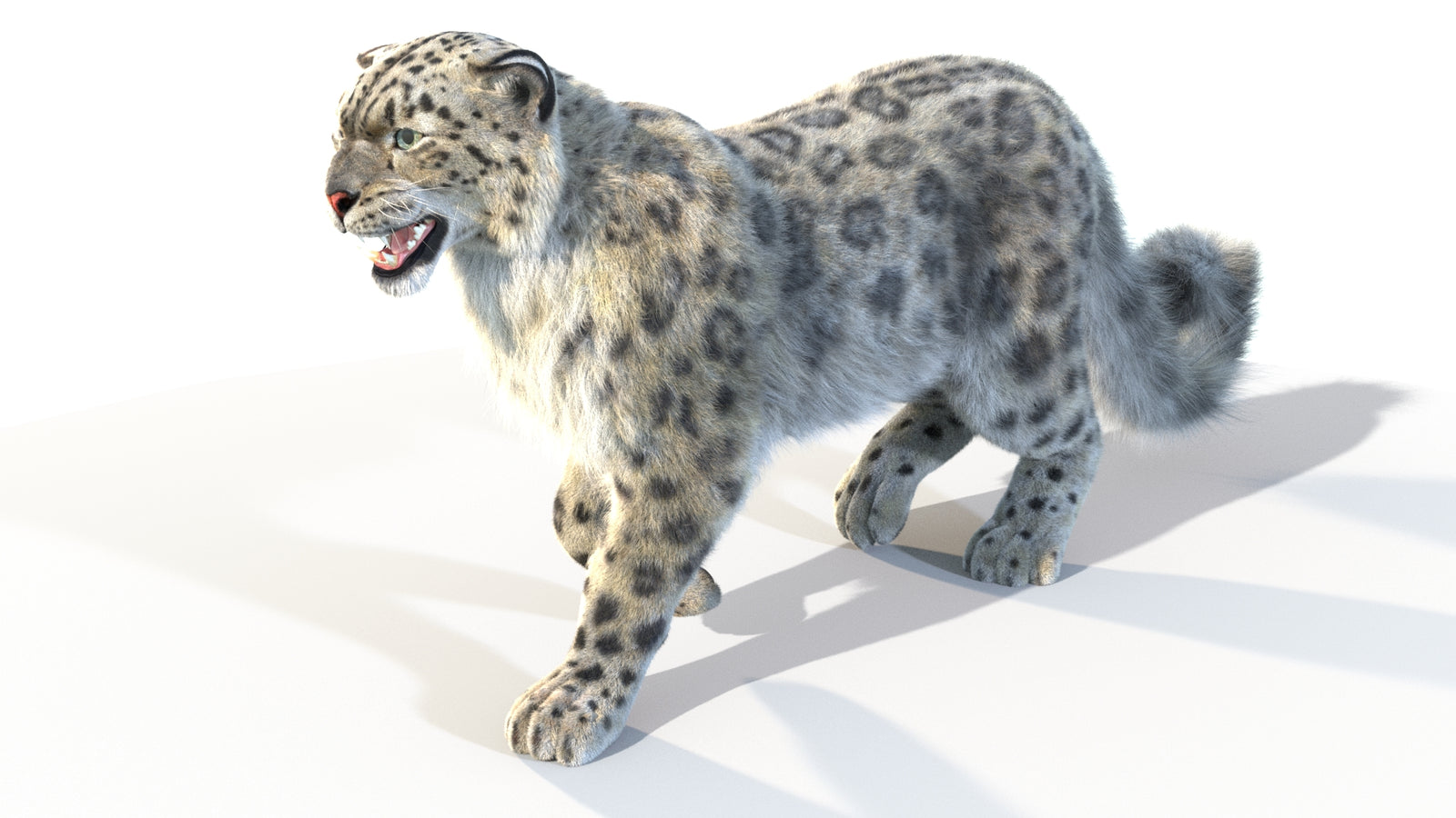 Animated Snow Leopard 3D Model Fur 360° view 4 frame 13