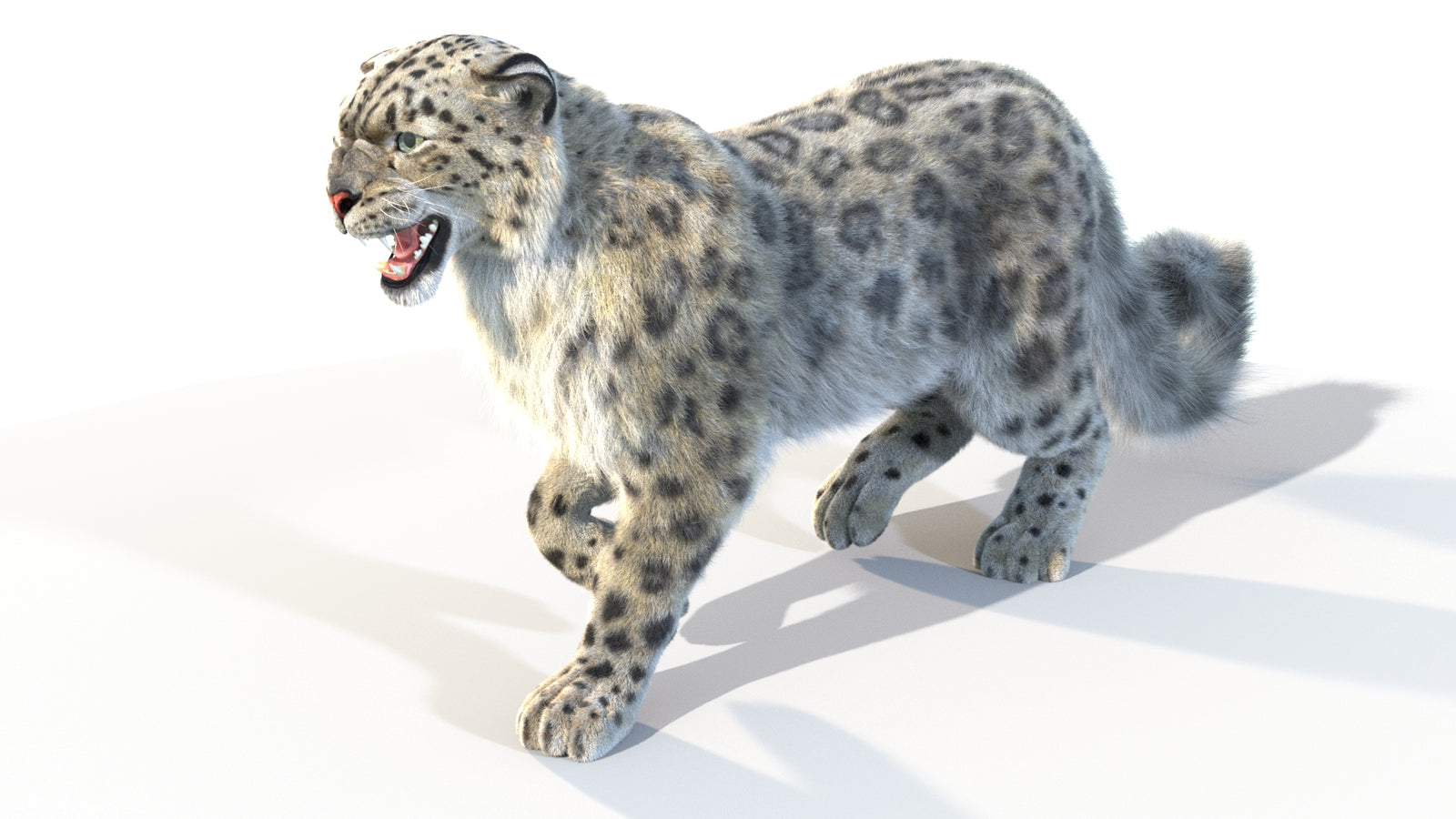 Animated Snow Leopard 3D Model Fur 360° view 4 frame 14