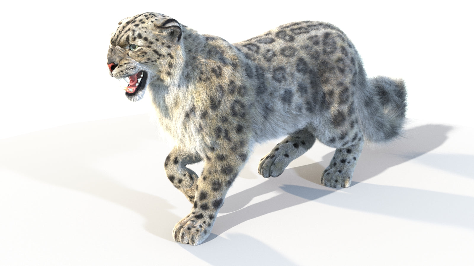 Animated Snow Leopard 3D Model Fur 360° view 4 frame 15