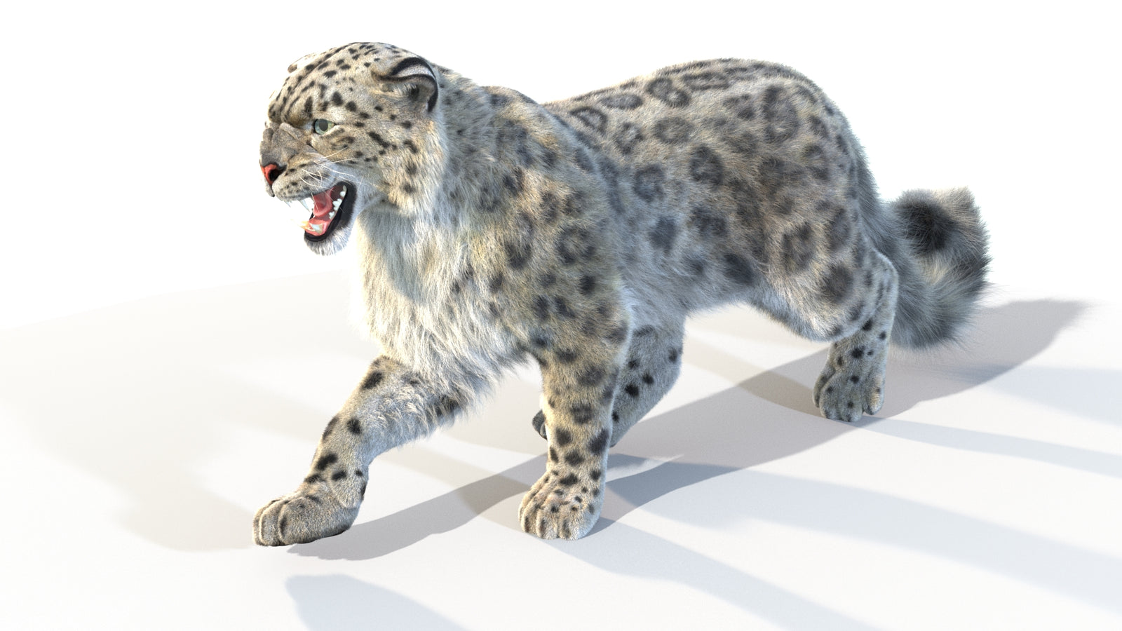 Animated Snow Leopard 3D Model Fur 360° view 4 frame 23