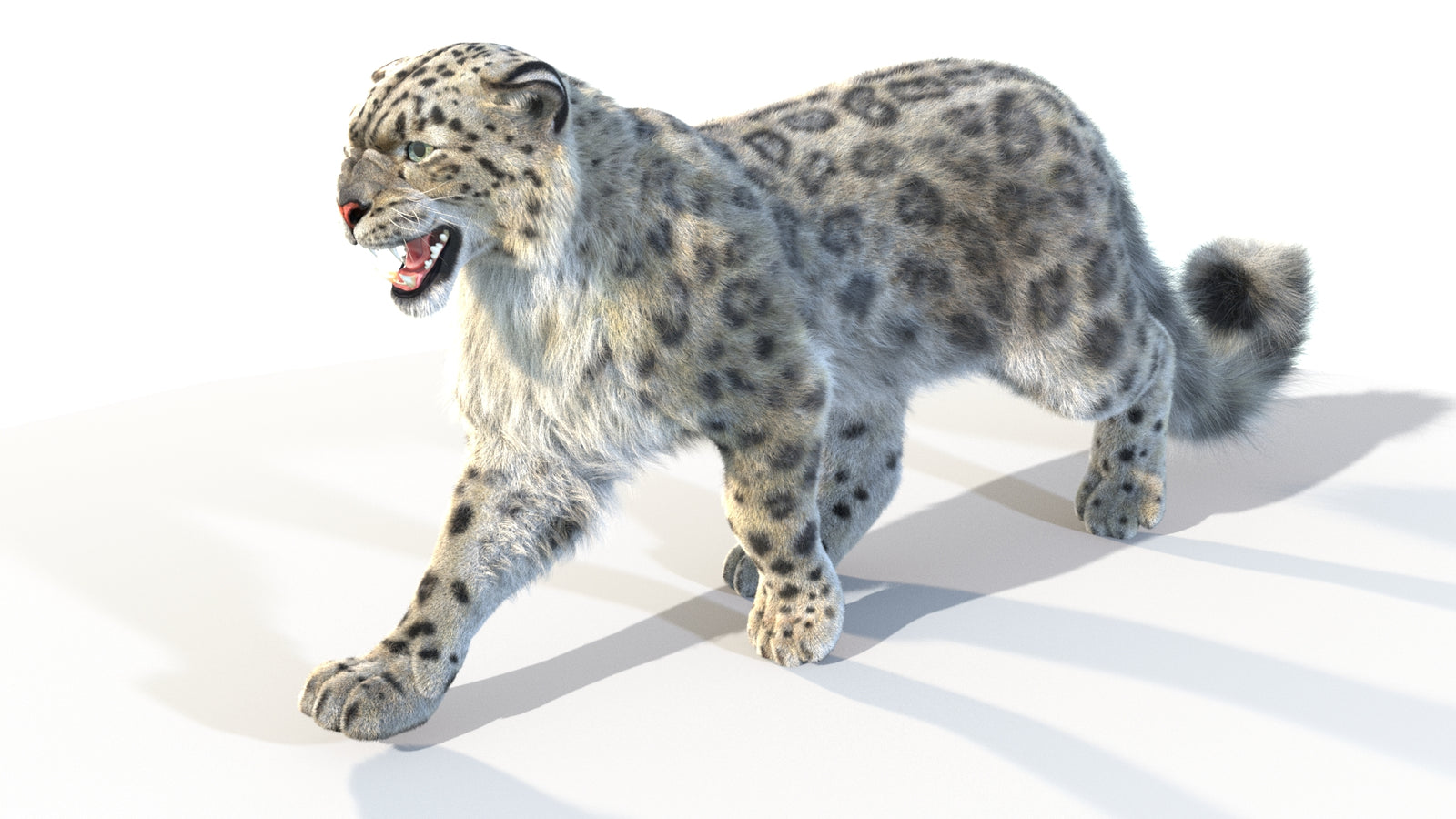 Animated Snow Leopard 3D Model Fur 360° view 4 frame 27