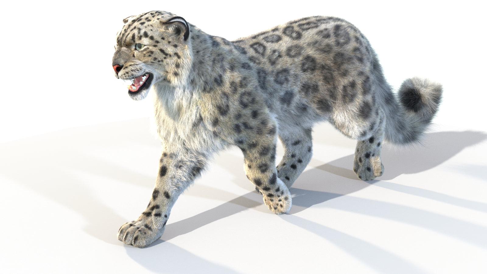 Animated Snow Leopard 3D Model Fur 360° view 4 frame 30