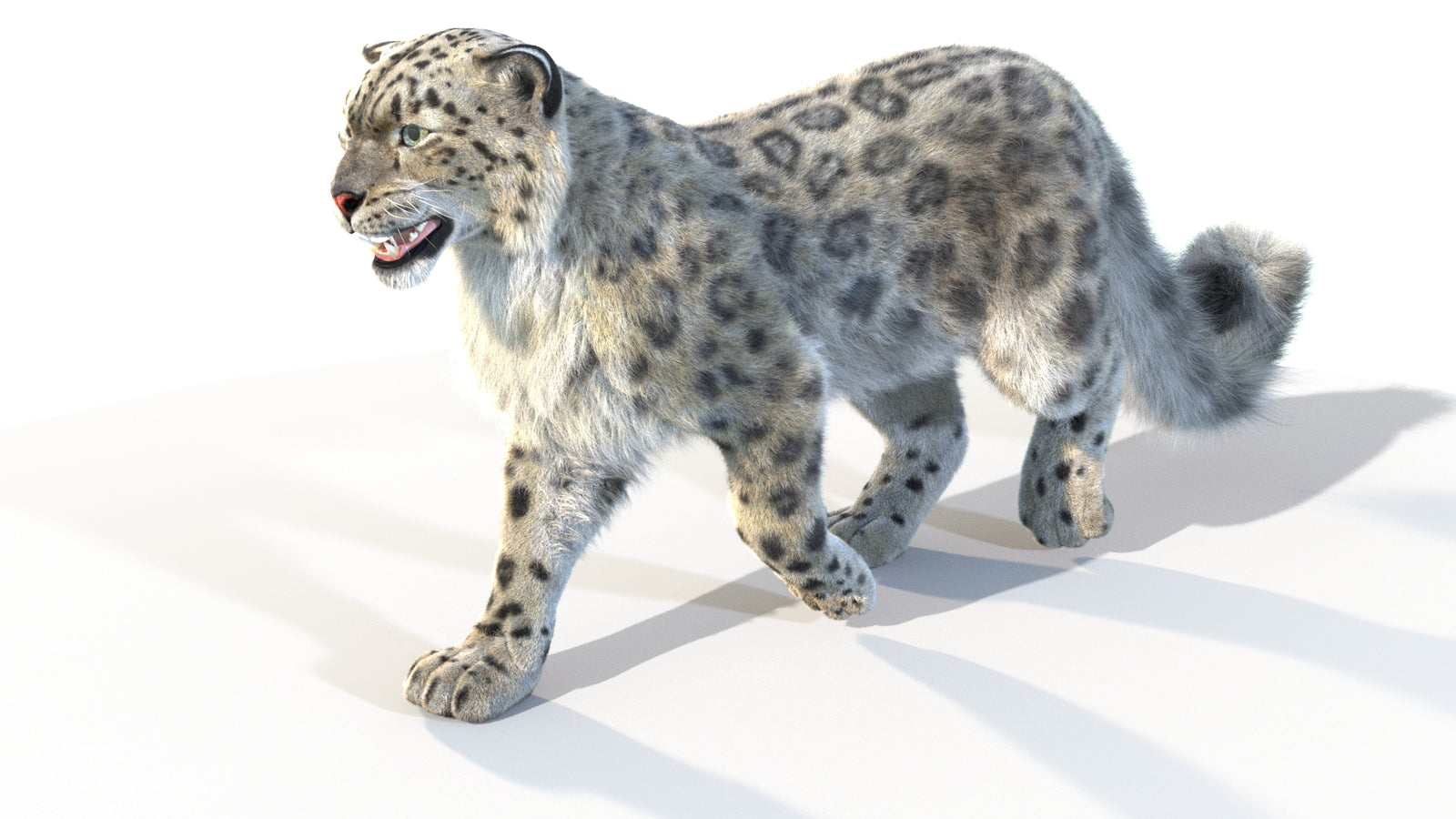 Animated Snow Leopard 3D Model Fur 360° view 4 frame 33
