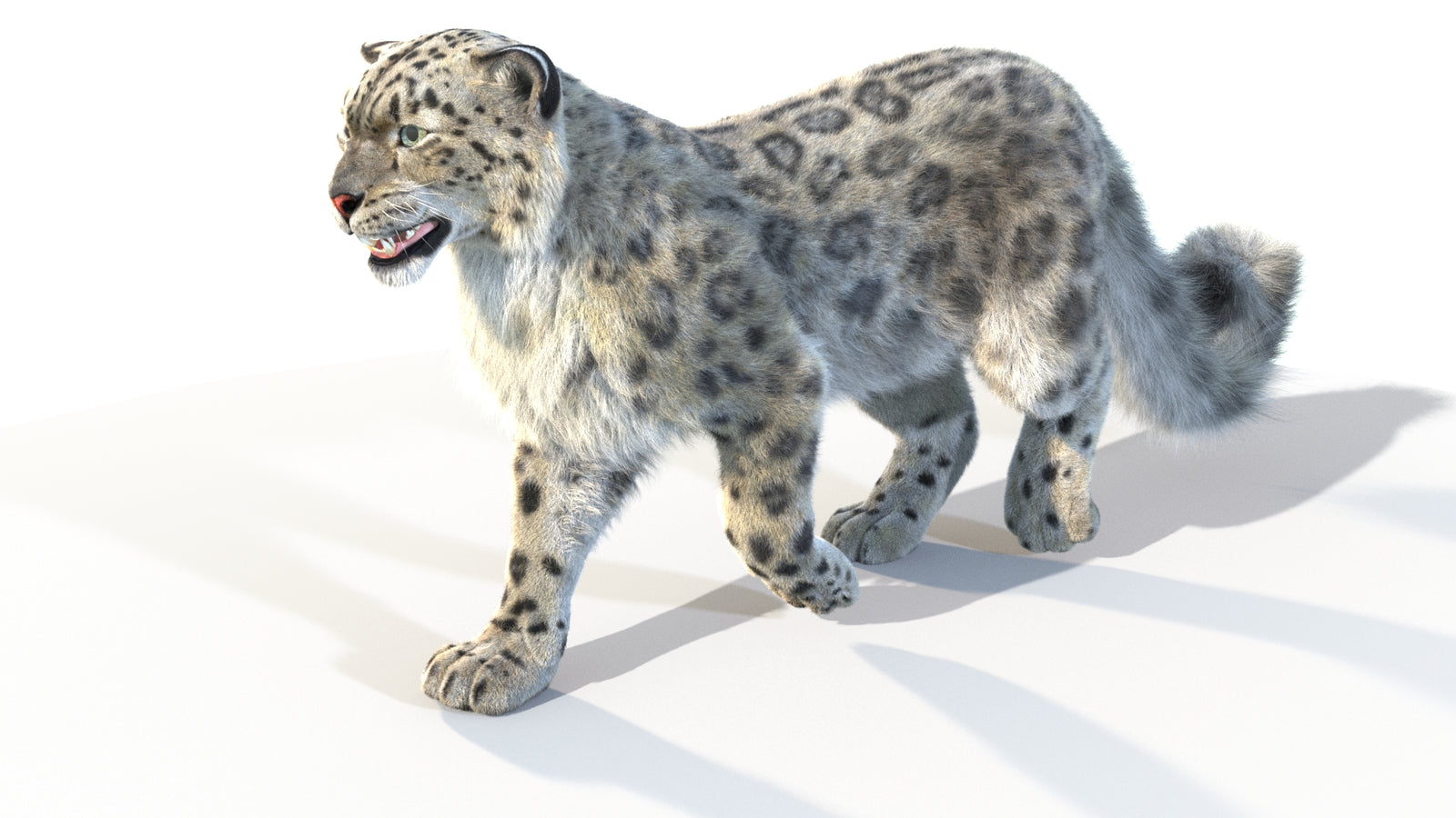 Animated Snow Leopard 3D Model Fur 360° view 4 frame 34