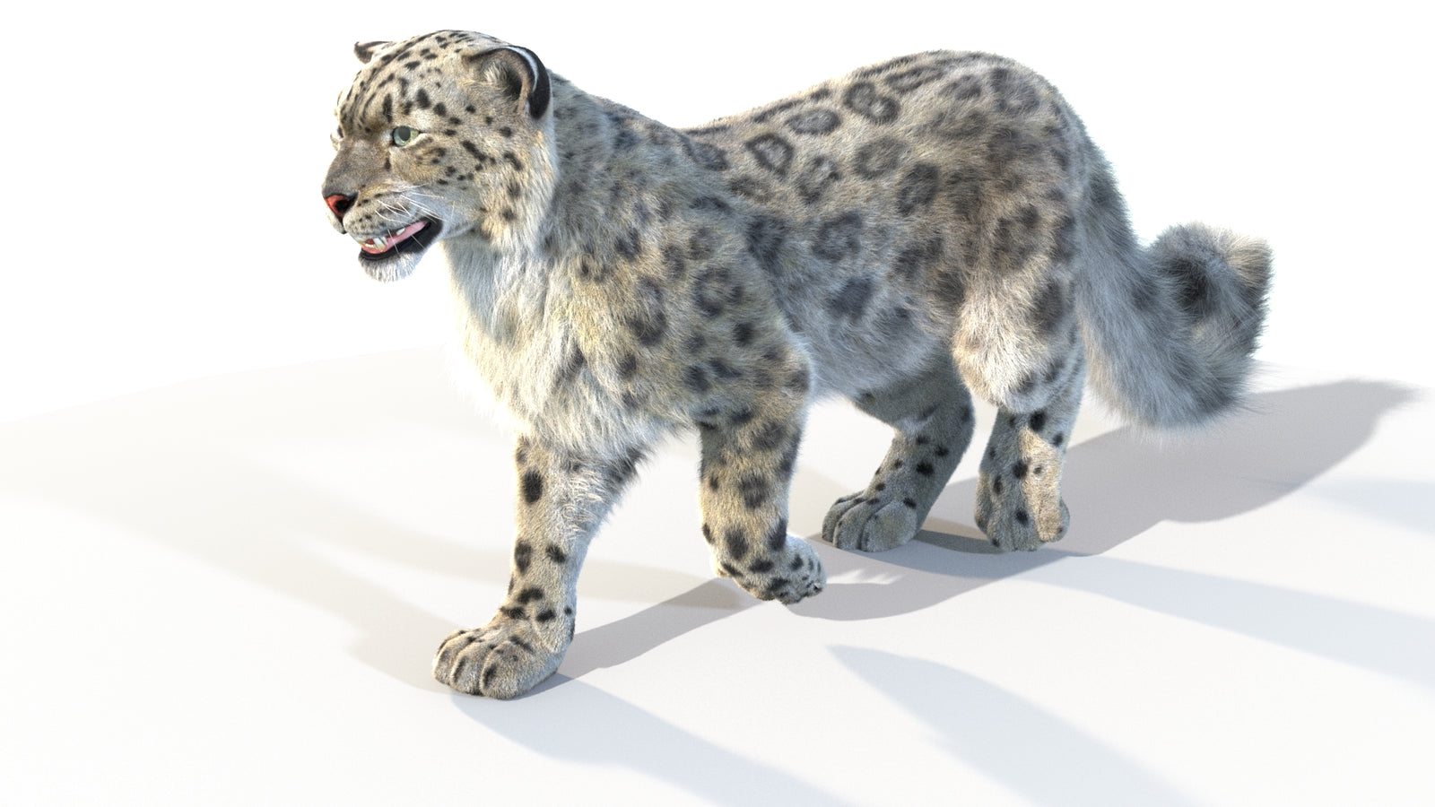 Animated Snow Leopard 3D Model Fur 360° view 4 frame 35