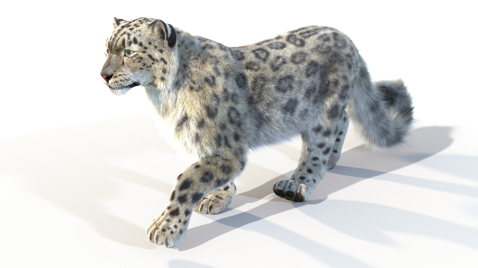 Animated Snow Leopard 3D Model Fur 360° view 4 frame 44