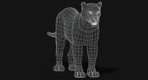Big Cats 03 3D Model Thumbnail