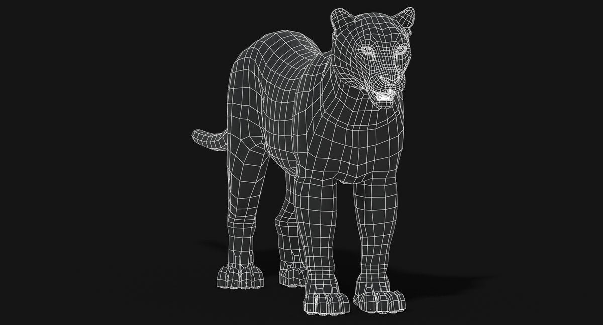 Big Cats 03 3D Model