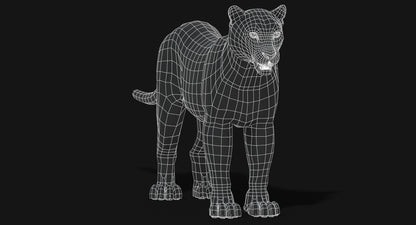 Big Cats 03 3D Model