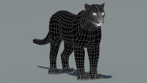 Snow Leopard 3D Model Wireframe View: Subdivision Level 0 Thumbnail