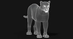 Big Cats 03 3D Model Thumbnail