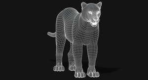 Big Cats 03 3D Model Thumbnail