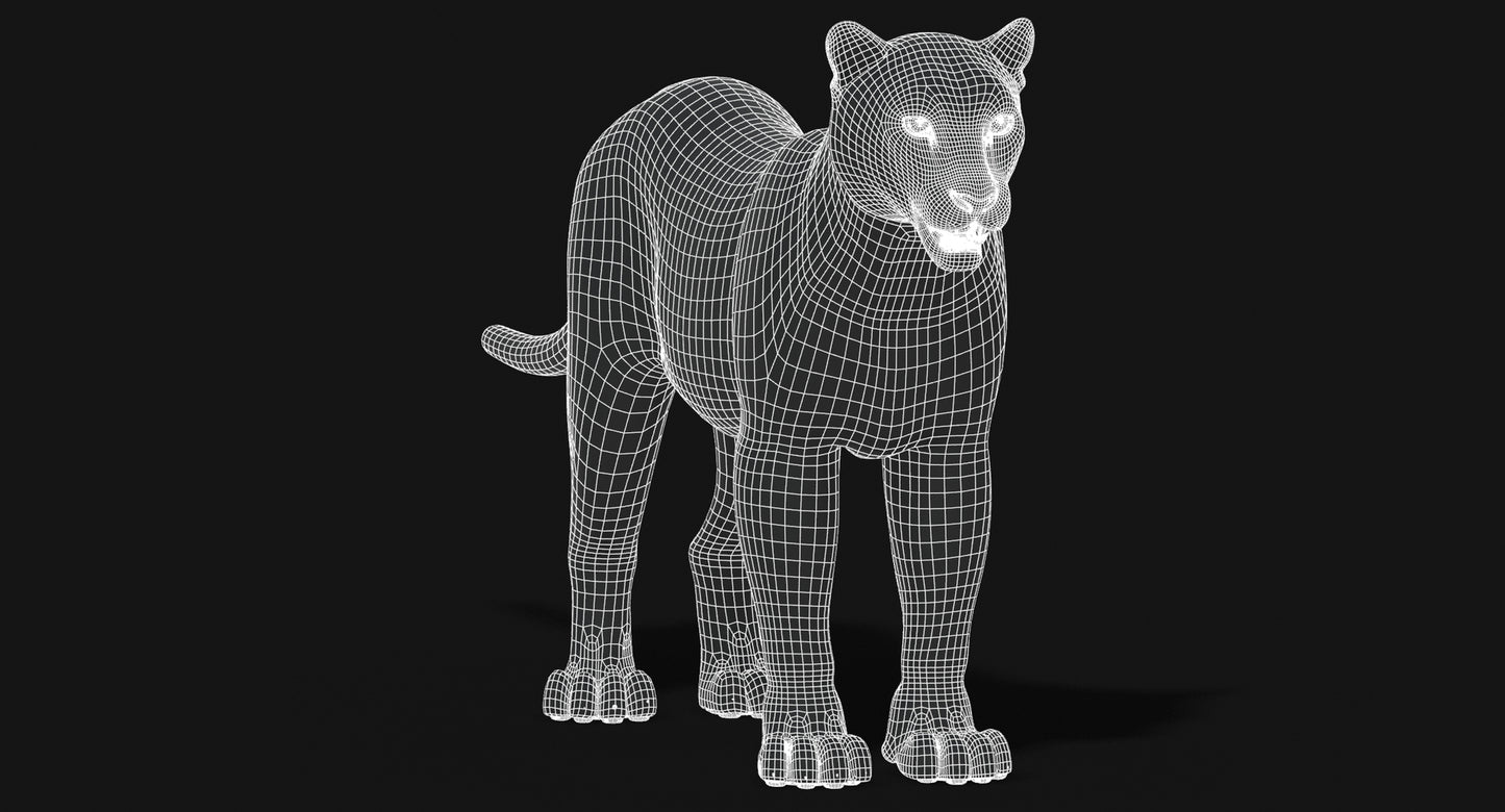 Big Cats 03 3D Model
