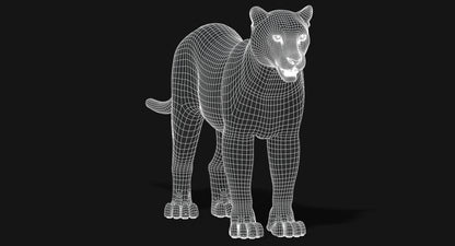 Big Cats 03 3D Model