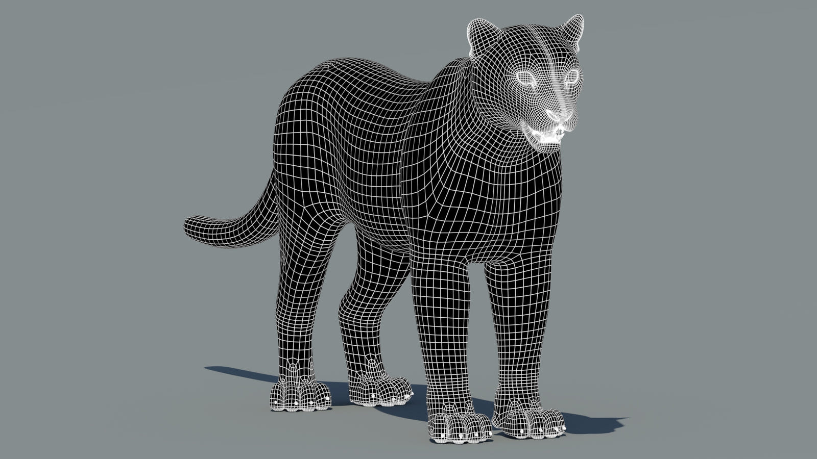 Snow Leopard 3D Model Wireframe View: Subdivision Level 1