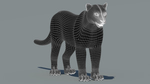 Snow Leopard 3D Model Wireframe View: Subdivision Level 1 Thumbnail