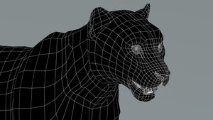 Snow Leopard 3D Model Head Close Up  Wireframe View: Subdivision Level 0 Thumbnail