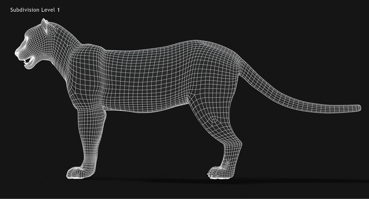 Big Cats 03 3D Model