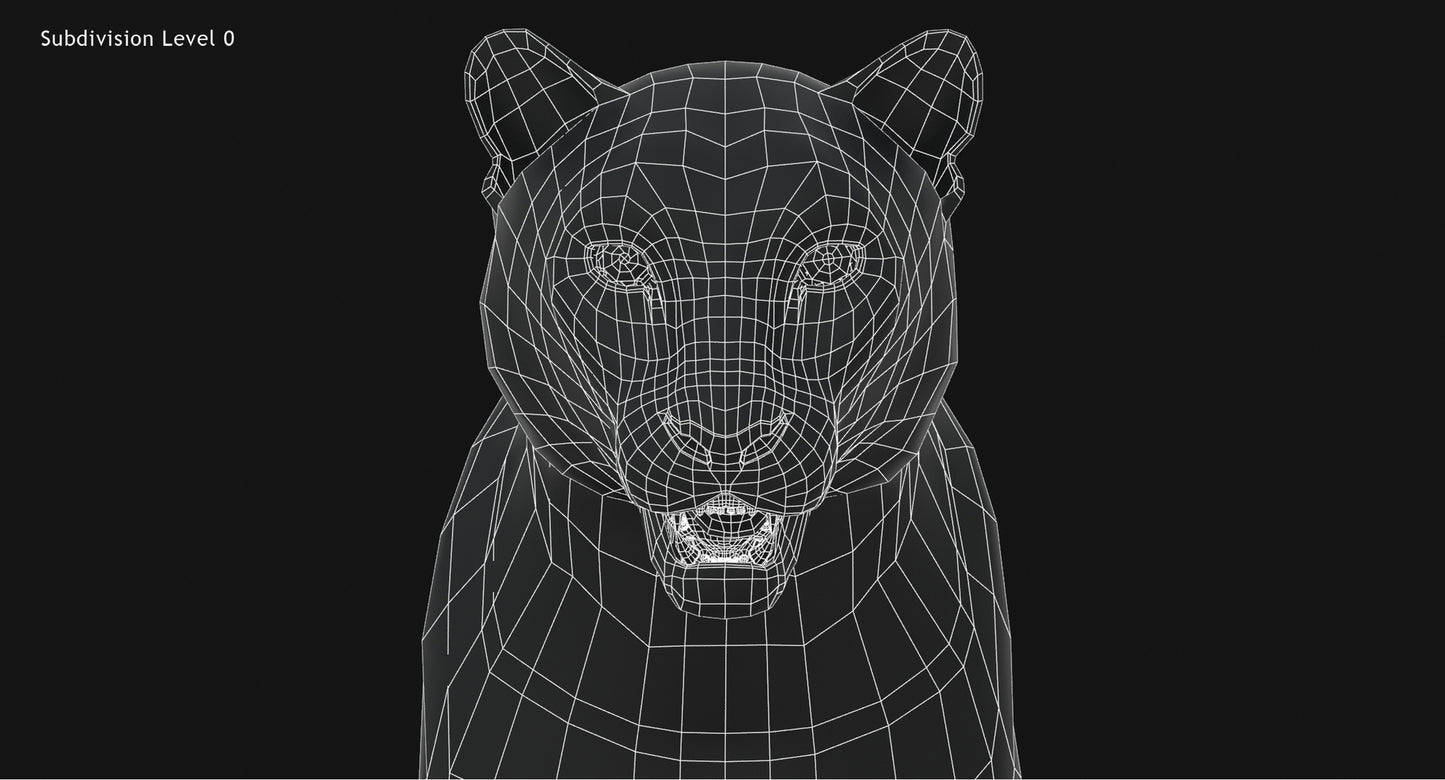 Big Cats 03 3D Model