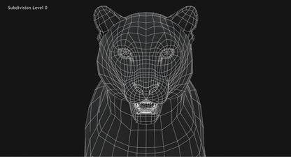 Big Cats 03 3D Model