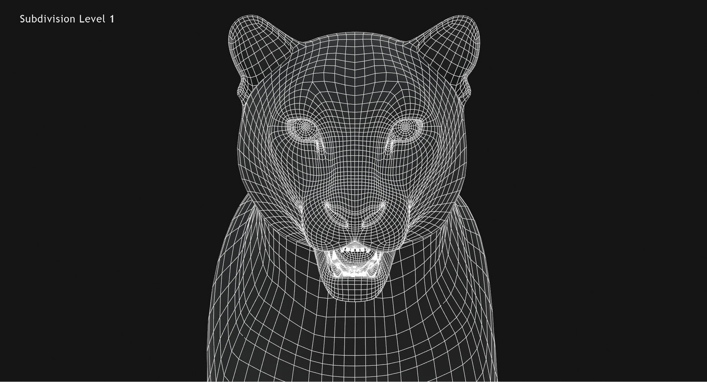 Big Cats 03 3D Model