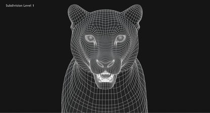 Big Cats 03 3D Model