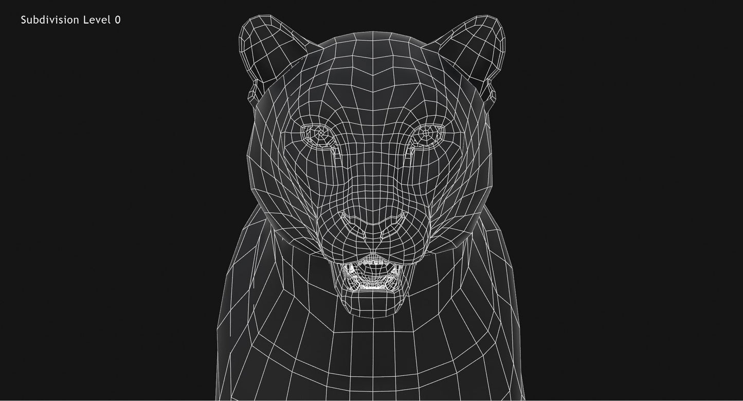 Snow Leopard 3D Model Head Close Up - Wireframe View