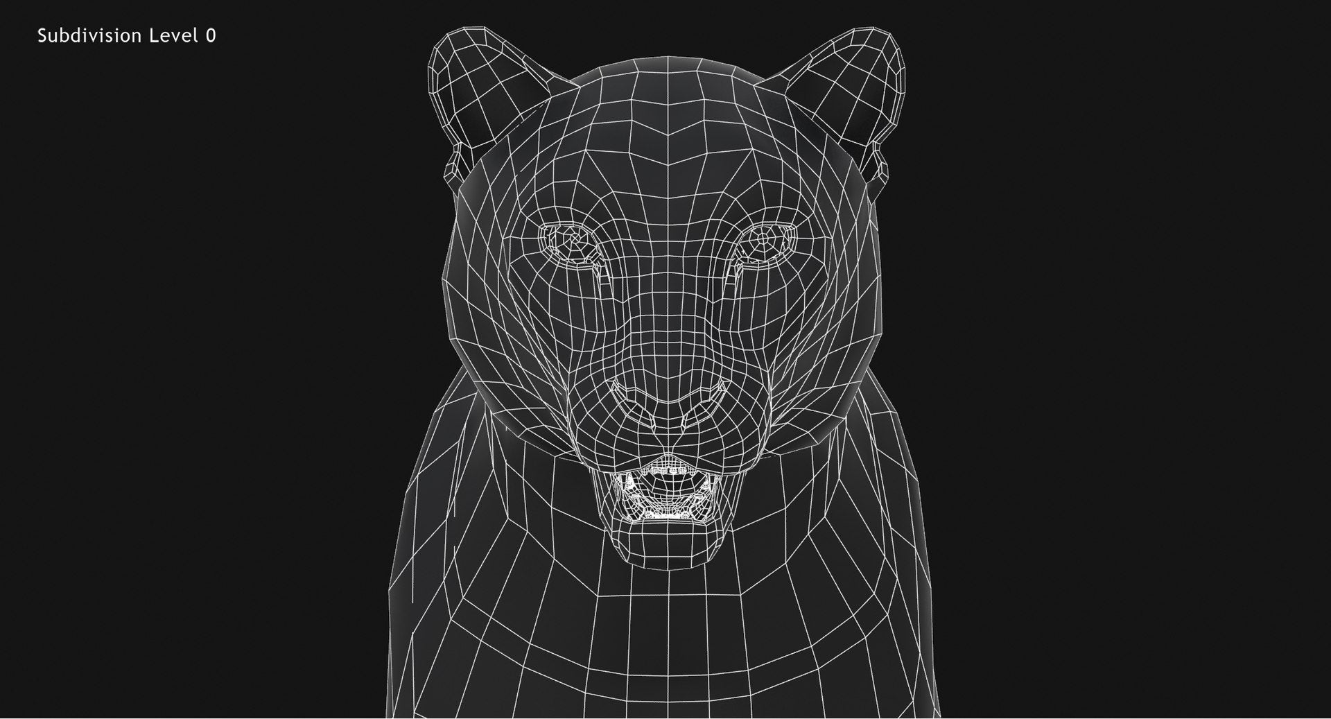 Snow Leopard 3D Model Head Close Up - Wireframe View