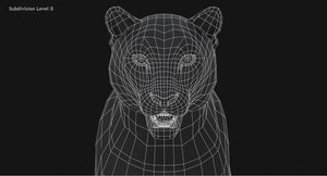 Snow Leopard 3D Model Head Close Up - Wireframe View Thumbnail