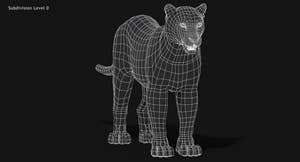 Snow Leopard 3D Model Wireframe view Thumbnail