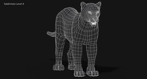 Snow Leopard 3D Model Wireframe view Thumbnail