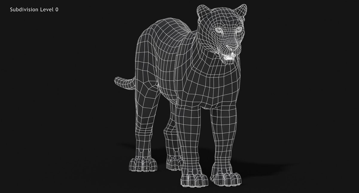 Snow Leopard 3D Model Wireframe view