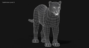 Snow Leopard 3D Model Wireframe view Thumbnail