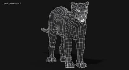 Snow Leopard 3D Model Wireframe view