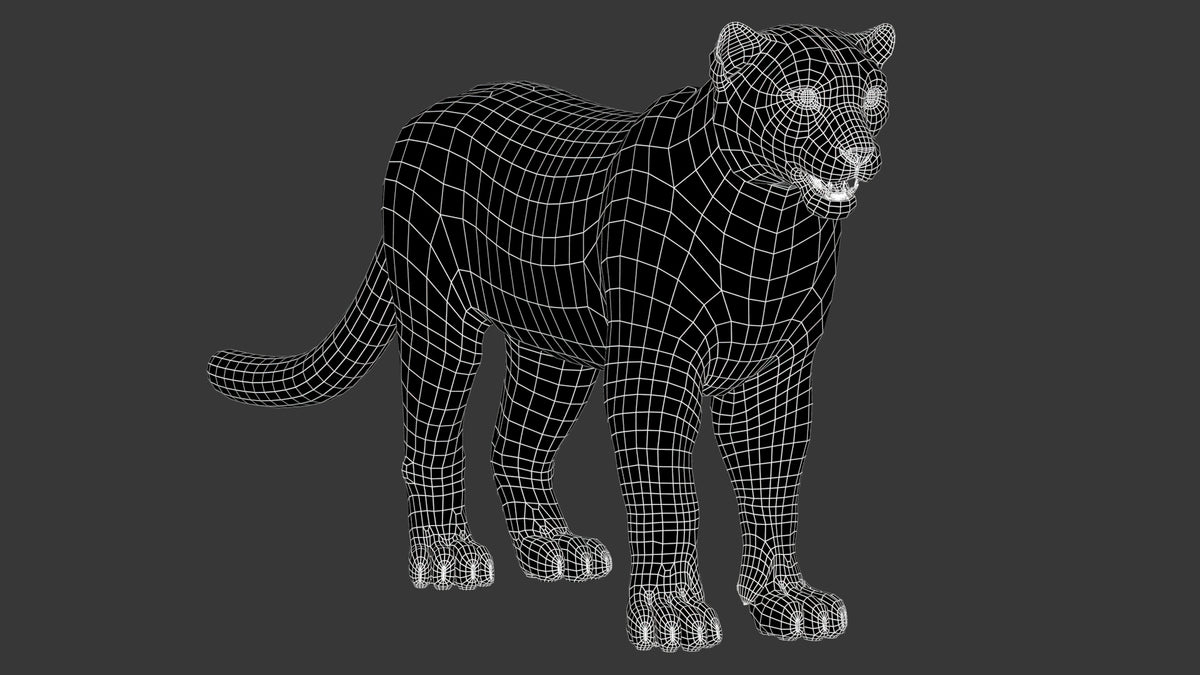 Snow Leopard 3D Model Wireframe View Subdivision Level 0