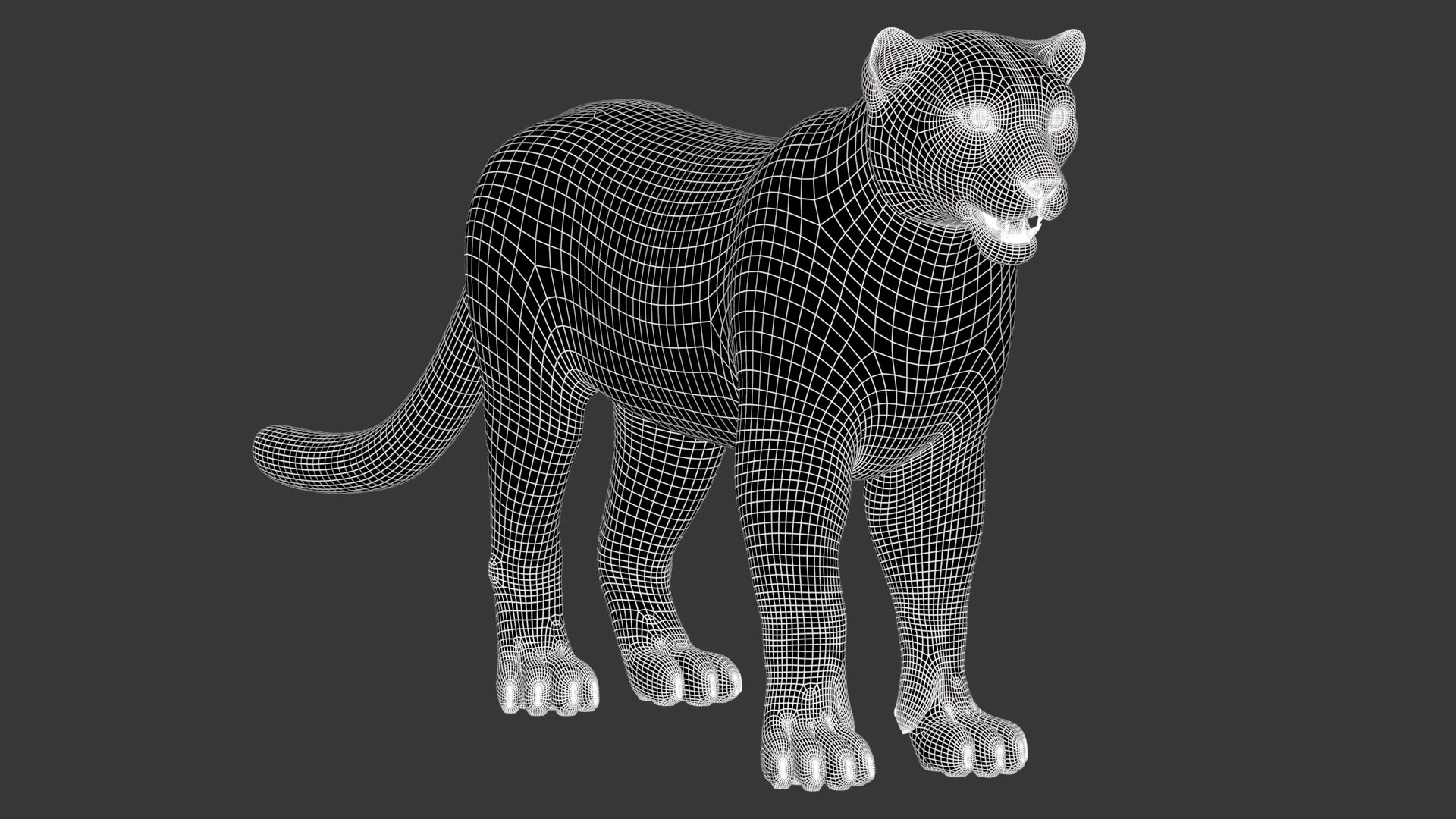 Snow Leopard 3D Model Wireframe View Subdivision Level 1