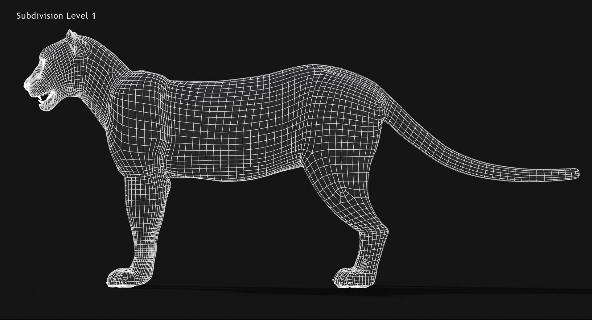 Snow Leopard 3D Model Wireframe view