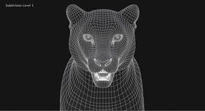 Snow Leopard 3D Model Head Close Up - Wireframe View Thumbnail