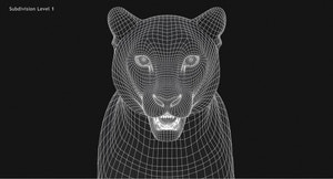 Snow Leopard 3D Model Head Close Up - Wireframe View Thumbnail