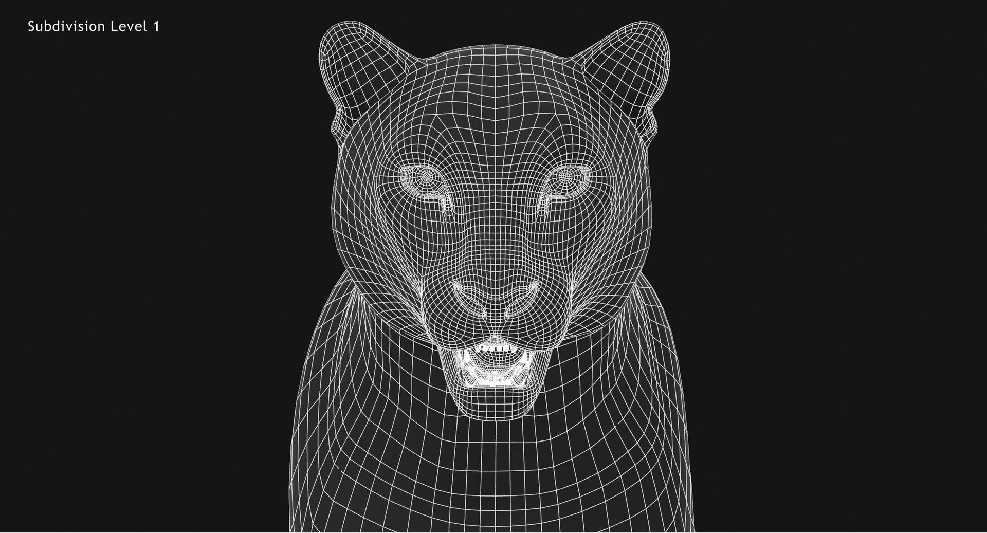 Snow Leopard 3D Model Head Close Up - Wireframe View
