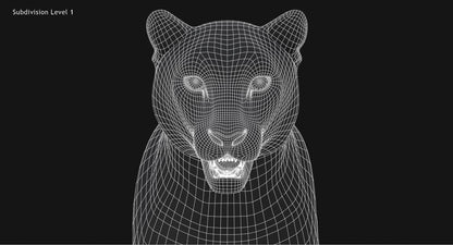 Snow Leopard 3D Model Head Close Up - Wireframe View