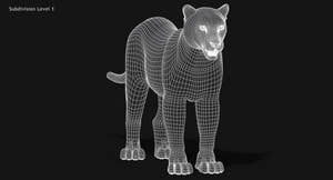 Snow Leopard 3D Model Wireframe view Thumbnail