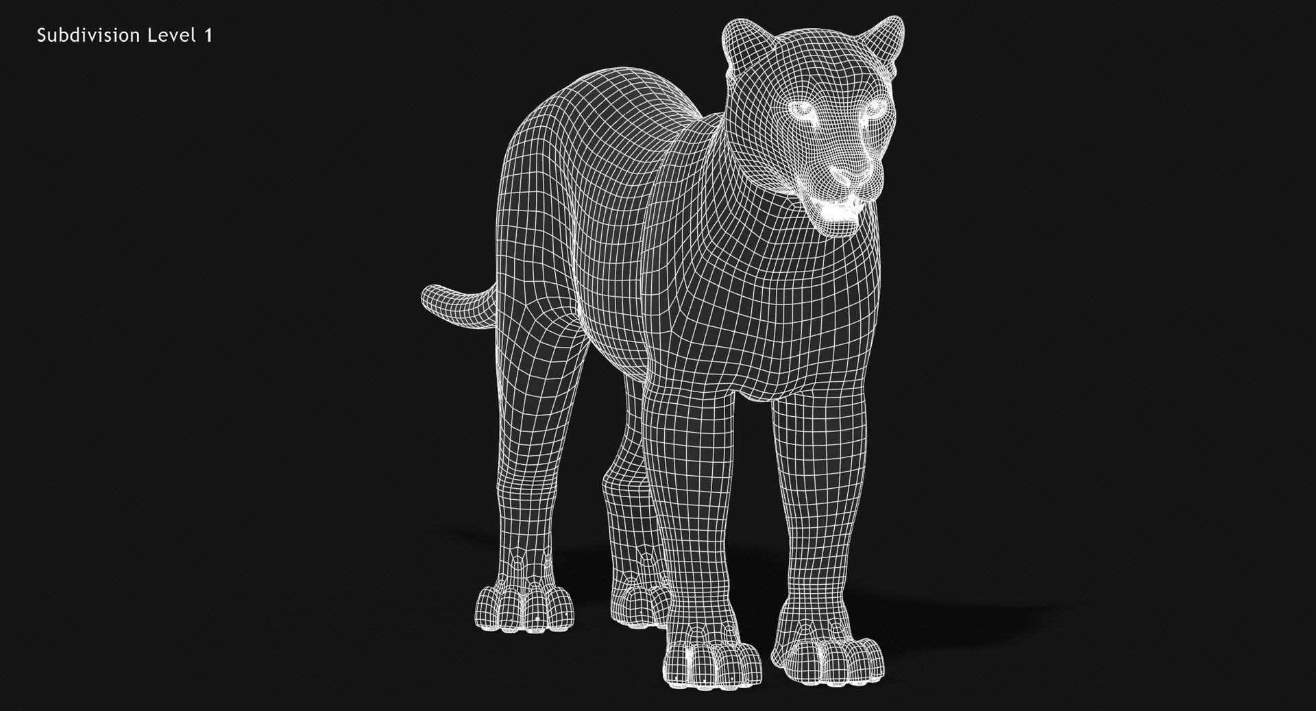 Snow Leopard 3D Model Wireframe view