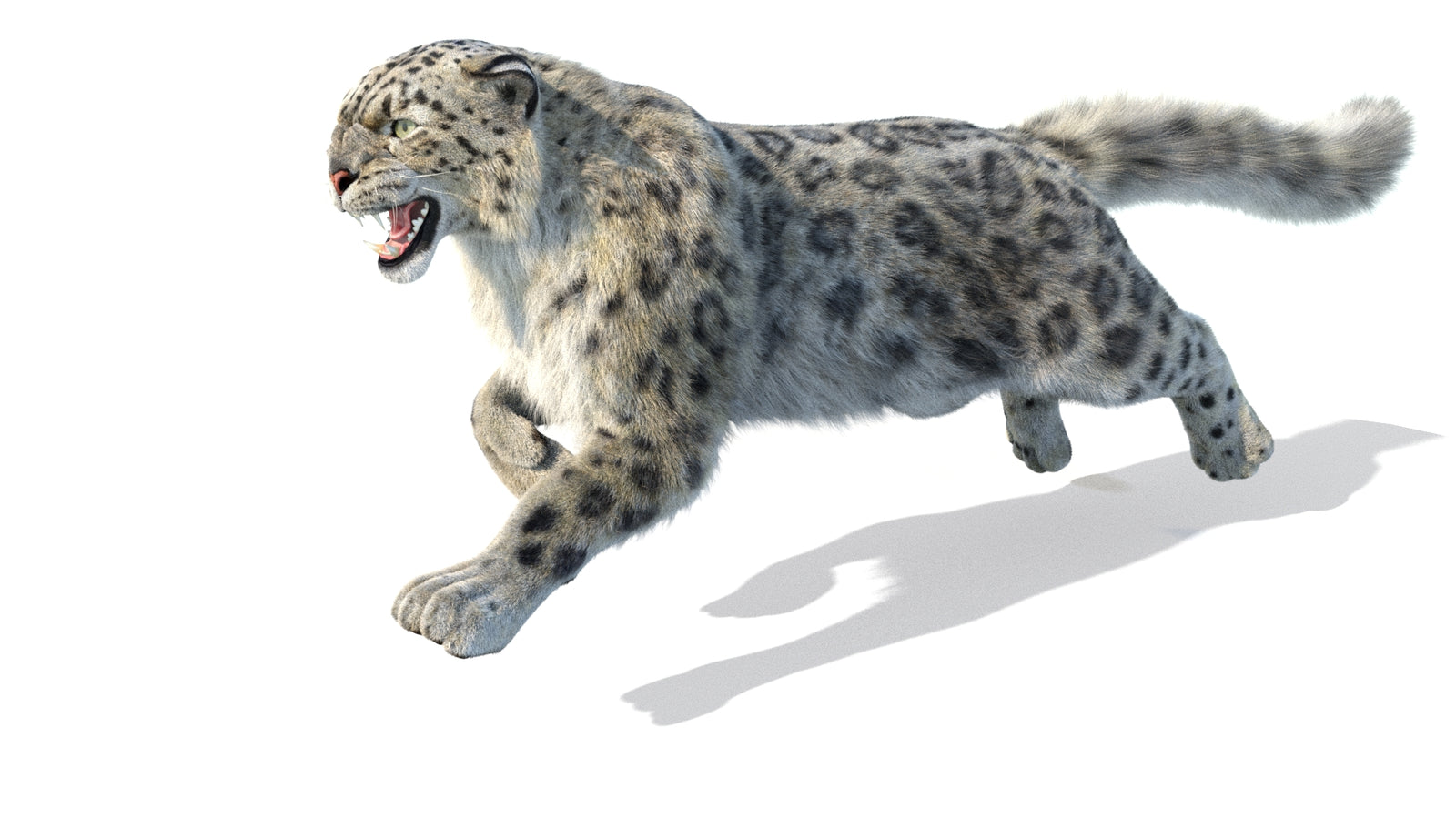 Animated Snow Leopard 3D Model Fur 360° view 5 frame 17