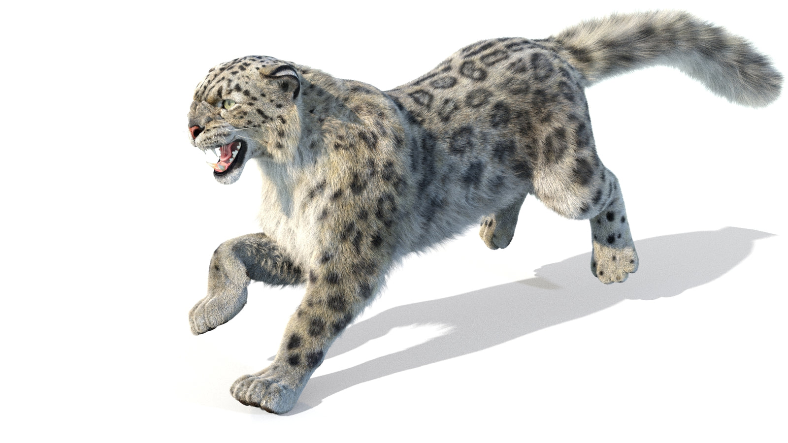 Animated Snow Leopard 3D Model Fur 360° view 5 frame 20