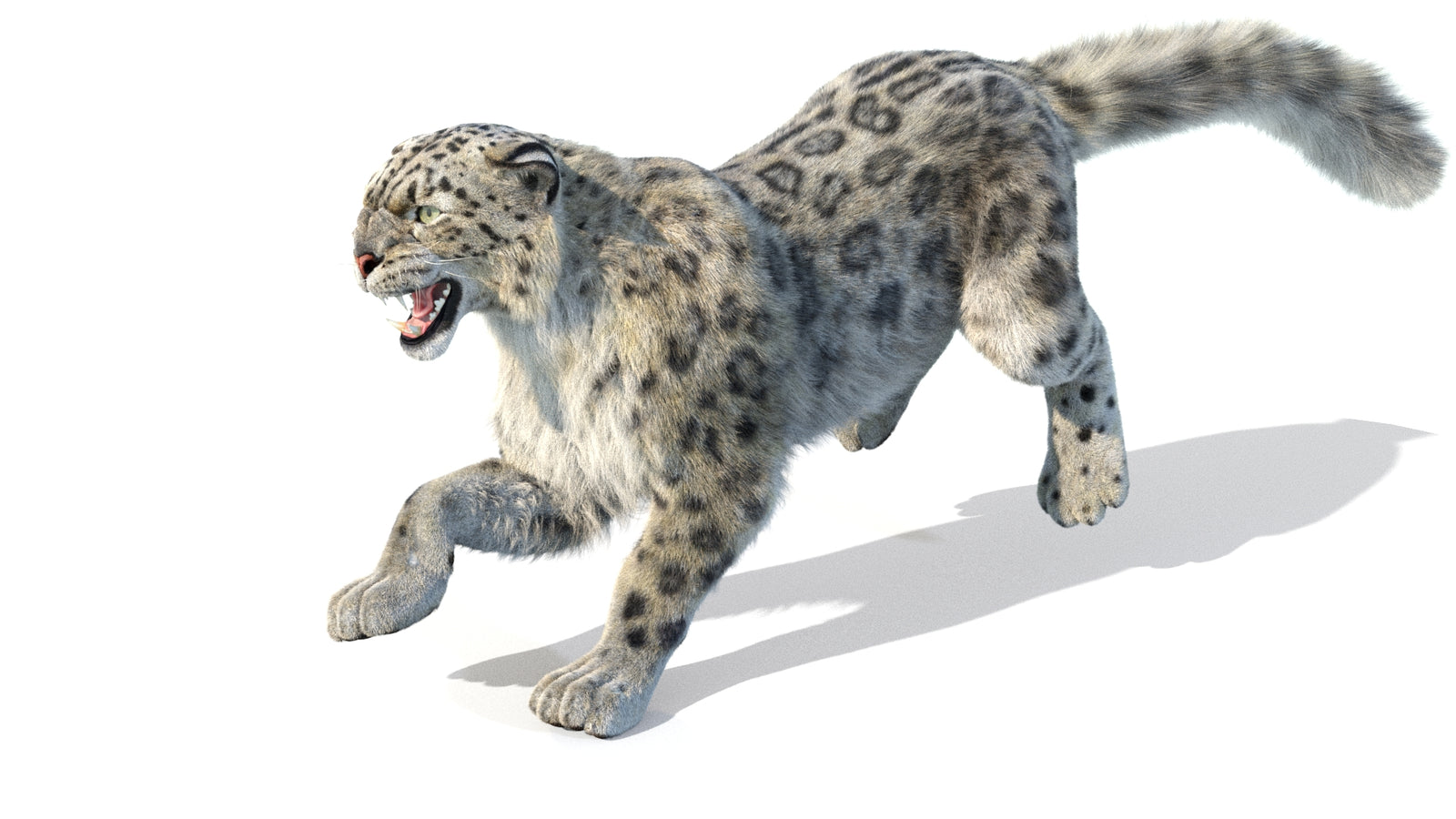 Animated Snow Leopard 3D Model Fur 360° view 5 frame 21
