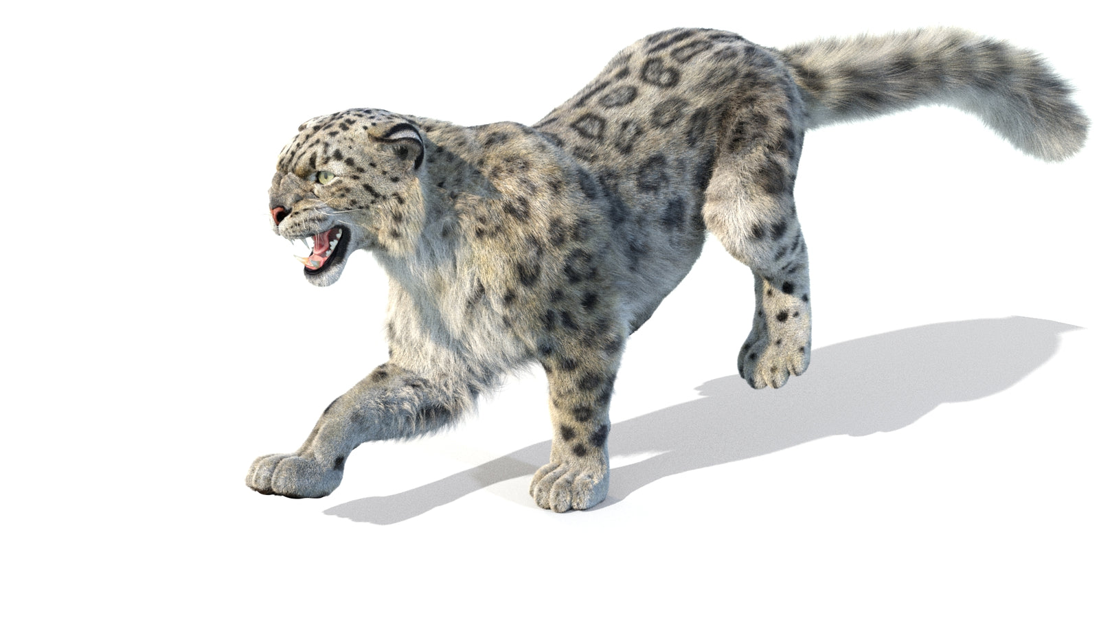 Animated Snow Leopard 3D Model Fur 360° view 5 frame 22