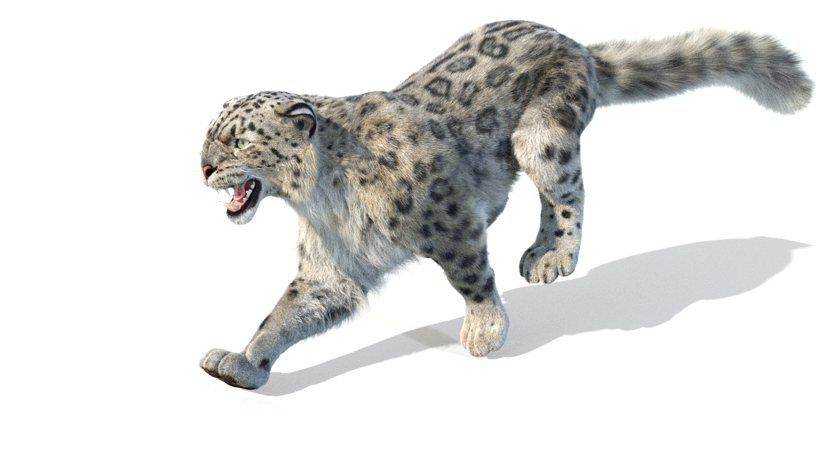 Animated Snow Leopard 3D Model Fur 360° view 5 frame 23