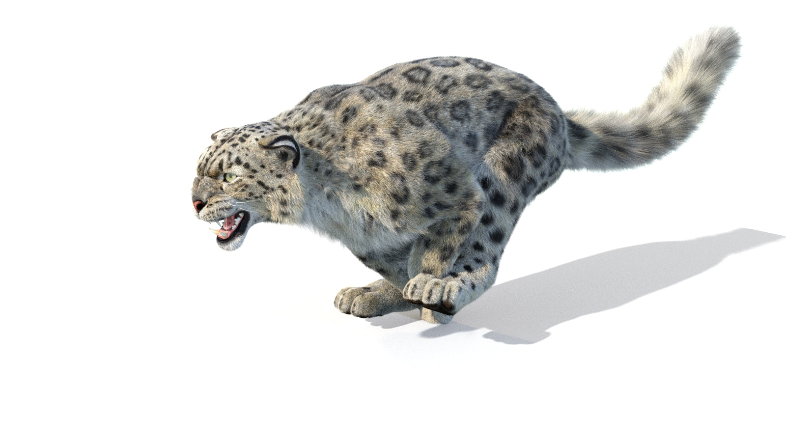Animated Snow Leopard 3D Model Fur 360° view 5 frame 27